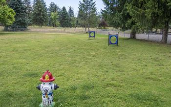 Dog park